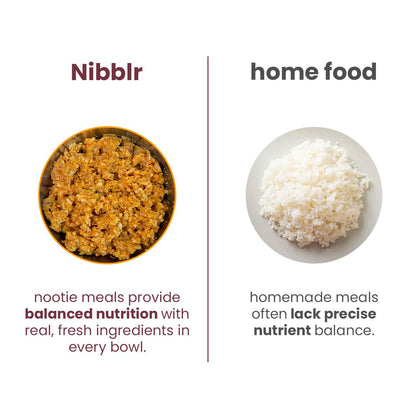 Nibblr Chicken Biryani (100g) – Fresh Wholesome Dog Meal - nootie.in
