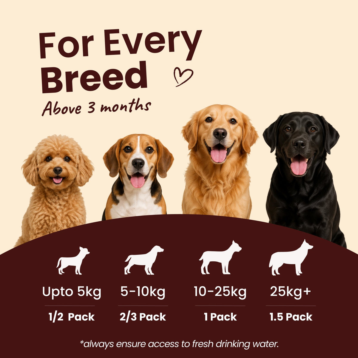 Nibblr Chicken Biryani (300g) - Fresh Wholesome Dog Meal - nootie.in