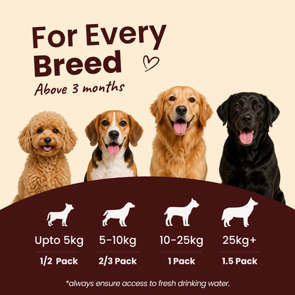 Nibblr Chicken Biryani (300g) - Fresh Wholesome Dog Meal - nootie.in