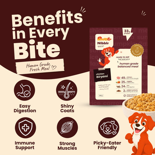 Nibblr Chicken Biryani (300g) - Fresh Wholesome Dog Meal - nootie.in