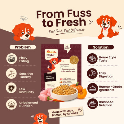 Nibblr Chicken Biryani (300g) - Fresh Wholesome Dog Meal - nootie.in