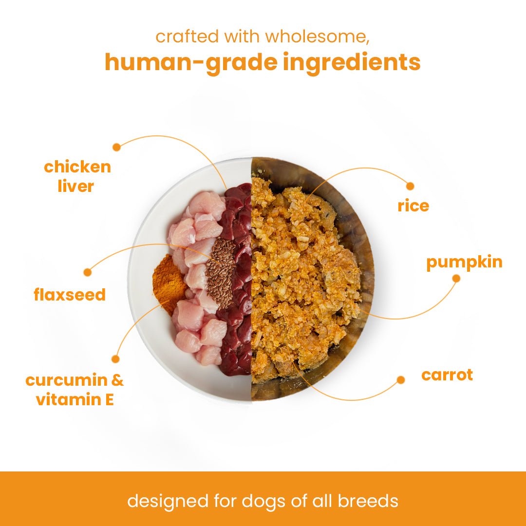 Nibblr Chicken Liver and Pumpkin (100g) – Fresh Wholesome Dog Meal - nootie.in