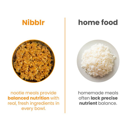 Nibblr Chicken Liver and Pumpkin (100g) – Fresh Wholesome Dog Meal - nootie.in