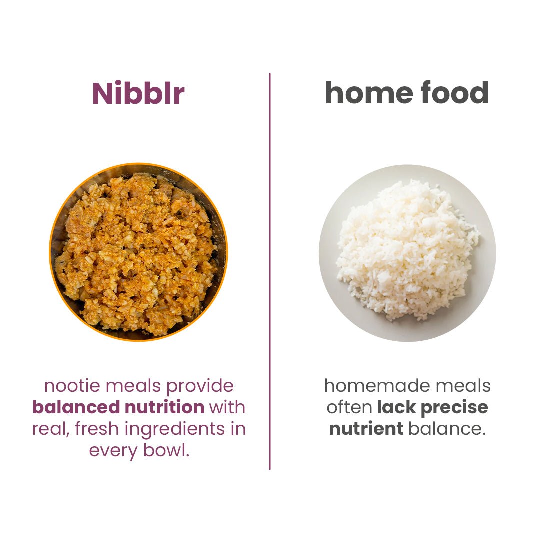 Nibblr Chicken Liver, Beetroot & Rice (100g) – Fresh Wholesome Dog Meal - nootie.in