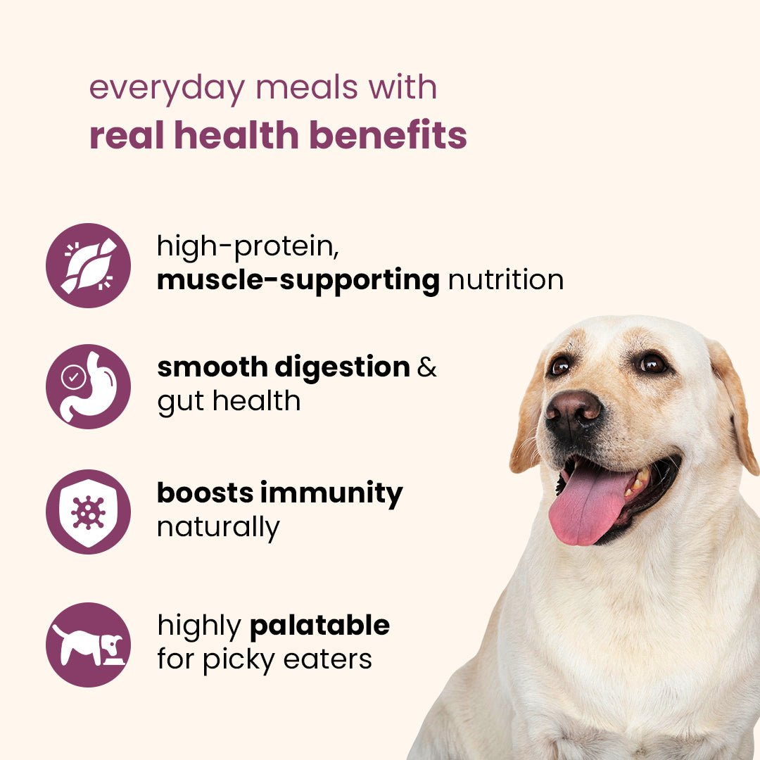 Nibblr Chicken Liver, Beetroot & Rice (100g) – Fresh Wholesome Dog Meal - nootie.in