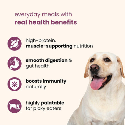 Nibblr Chicken Liver, Beetroot & Rice (100g) – Fresh Wholesome Dog Meal - nootie.in