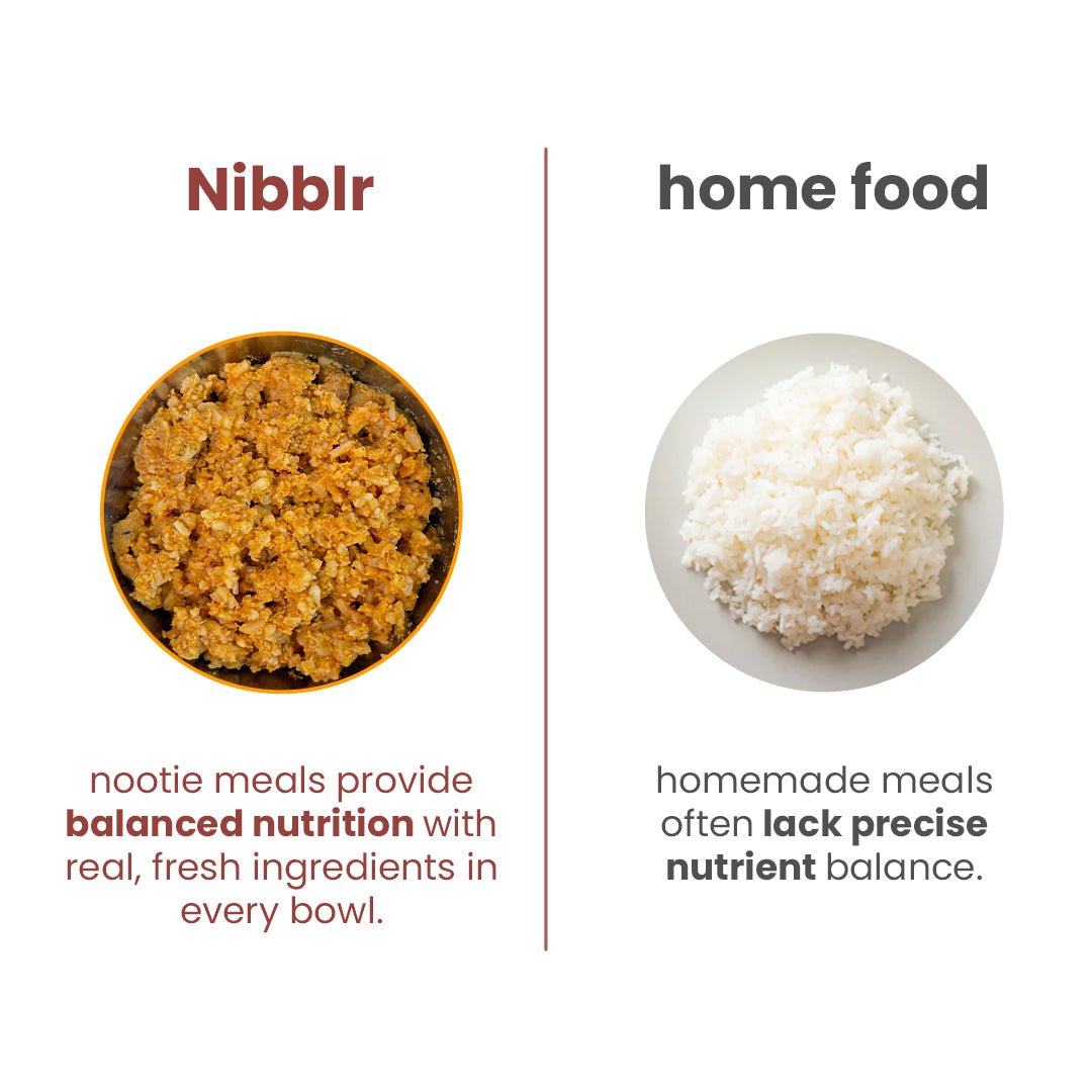 Nibblr Chicken Pulao (100 g) - Fresh Wholesome Dog Meal - nootie.in