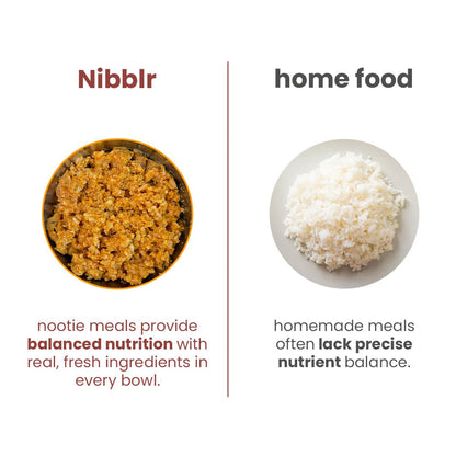 Nibblr Chicken Pulao (100 g) - Fresh Wholesome Dog Meal - nootie.in