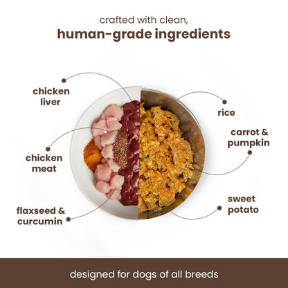 Nibblr Chicken, Sweet Potato & Rice (100g) – Fresh Wholesome Dog Meal - nootie.in