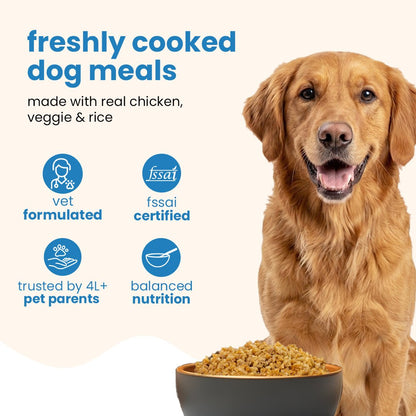 Nibblr Chicken Veggie & Rice (100g) – Fresh Wholesome Dog Meal - nootie.in