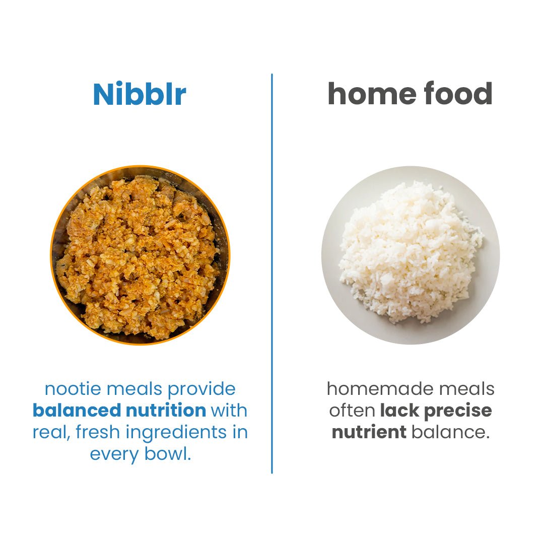 Nibblr Chicken Veggie & Rice (100g) – Fresh Wholesome Dog Meal - nootie.in