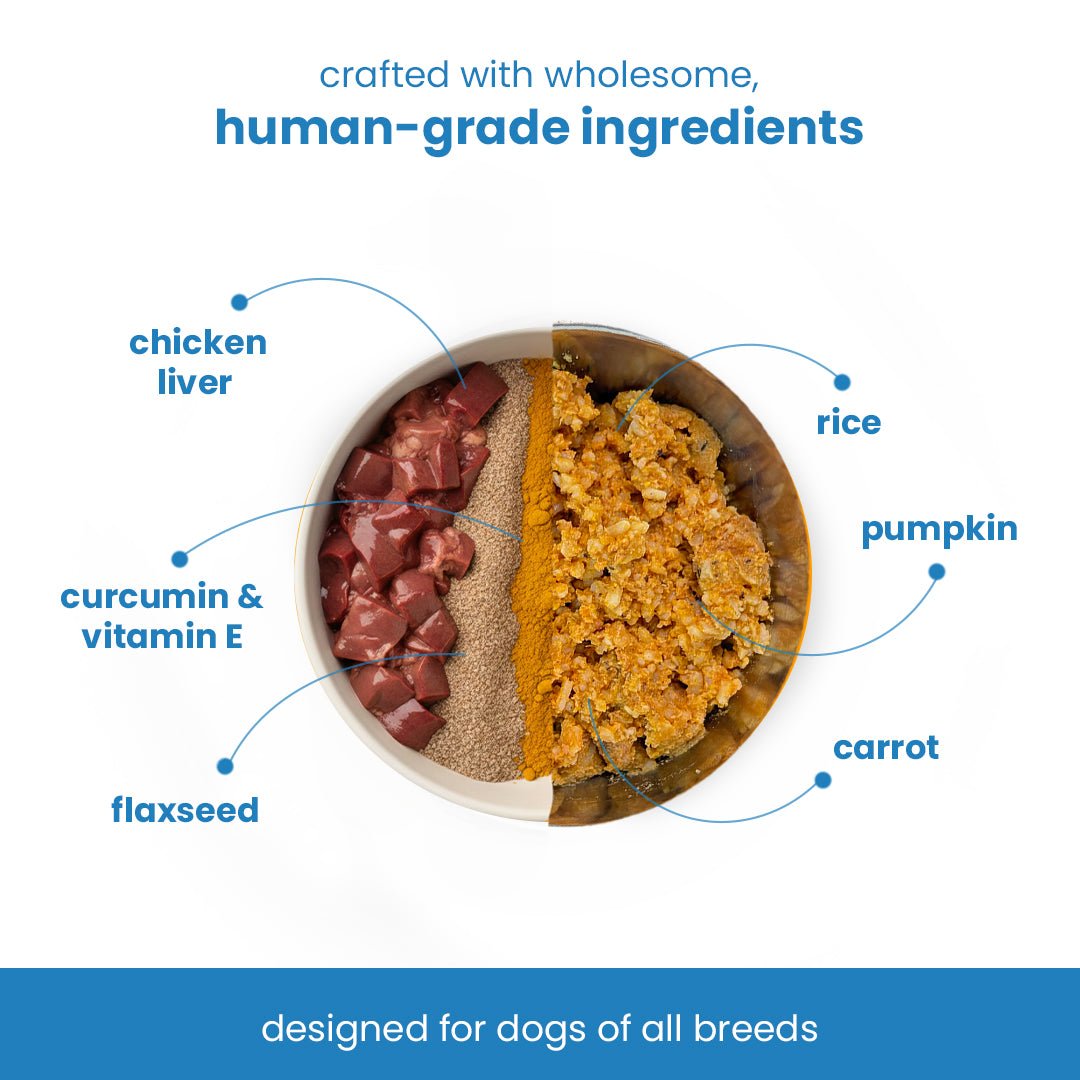Nibblr Chicken Veggie & Rice (100g) – Fresh Wholesome Dog Meal - nootie.in