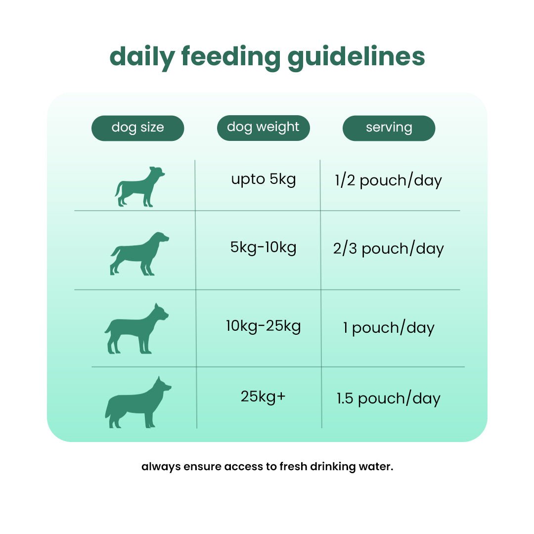 Nootie Balanced Dog Meal(300g)
