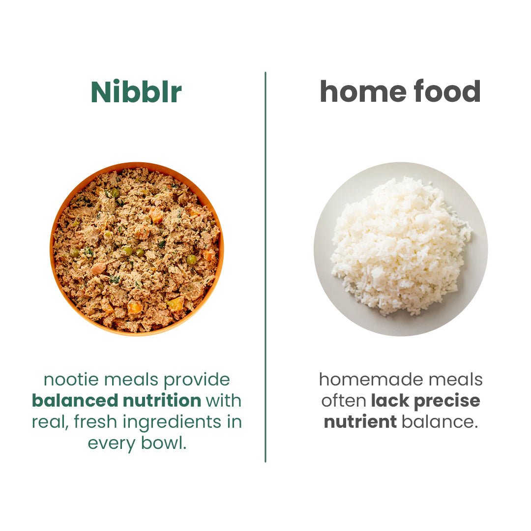 Nootie Balanced Dog Meal(300g)