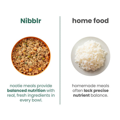 Nootie Balanced Dog Meal(300g)