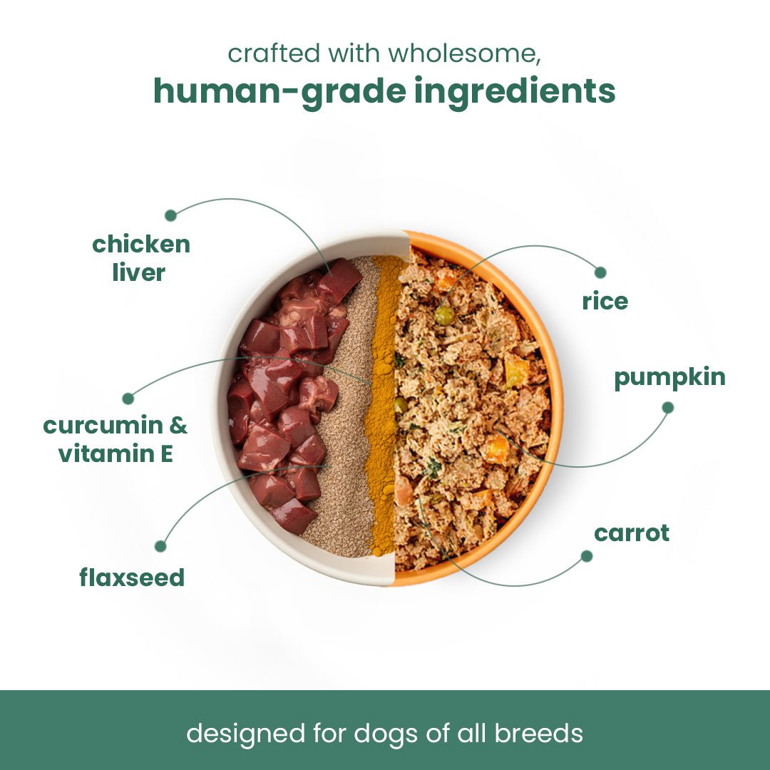 Nootie Balanced Dog Meal(300g)