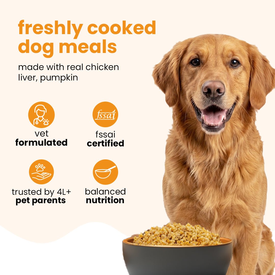 Nibblr Daily Chicken Liver and Pumpkin (300g) - Fresh Wholesome Dog Meal - nootie.in