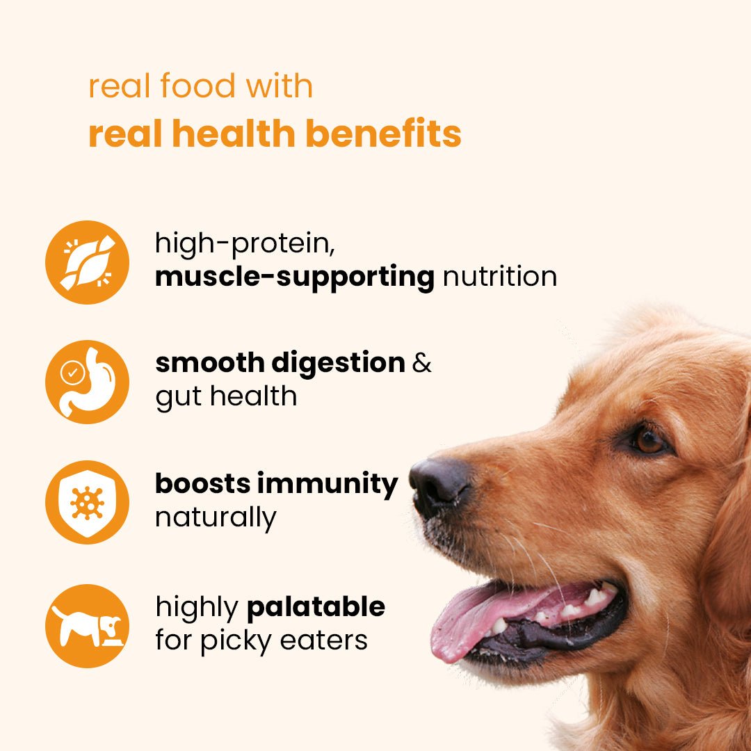 Nibblr Daily Chicken Liver and Pumpkin (300g) - Fresh Wholesome Dog Meal - nootie.in
