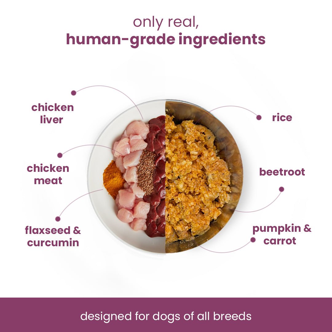 Nibblr Daily Chicken Liver, Beetroot & Rice (300g) - Fresh Wholesome Dog Meal - nootie.in
