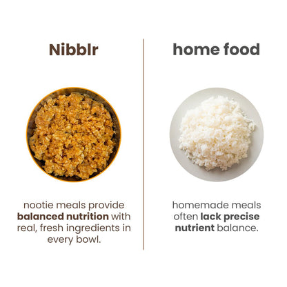 Nibblr Daily Chicken, Sweet Potato & Rice (300g) - Fresh Wholesome Dog Meal - nootie.in