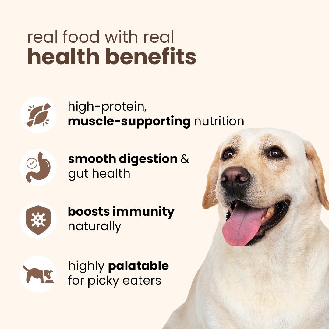 Nibblr Daily Chicken, Sweet Potato & Rice (300g) - Fresh Wholesome Dog Meal - nootie.in