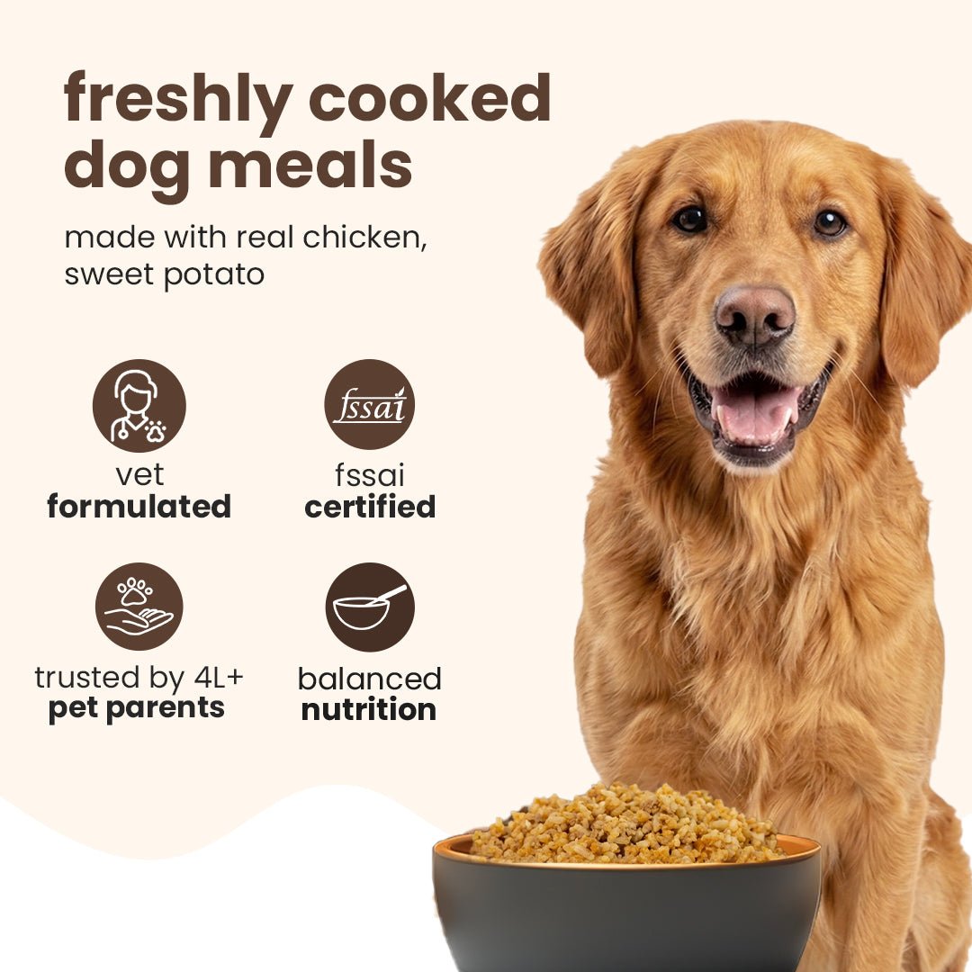 Nibblr Daily Chicken, Sweet Potato & Rice (300g) - Fresh Wholesome Dog Meal - nootie.in