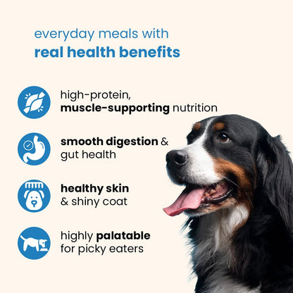 Nibblr Daily Chicken Veggie & Rice Dog Meal (300g) - Fresh Wholesome Dog Meal - nootie.in