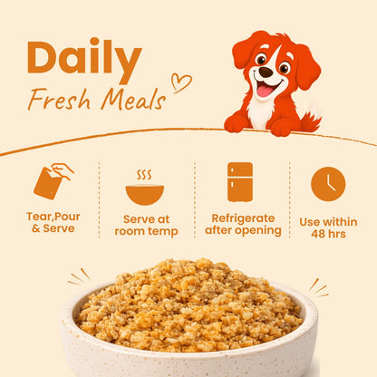 Nibblr Daily Power Feast for Dogs (300g) | Chicken Liver and Pumpkin - nootie.in