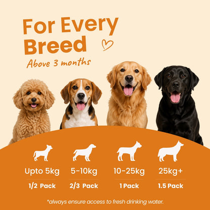 Nibblr Daily Power Feast for Dogs (300g) | Chicken Liver and Pumpkin - nootie.in