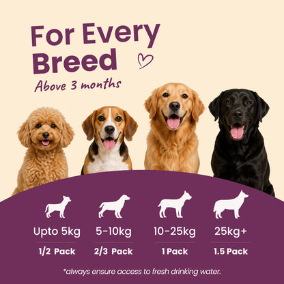 Nibblr Daily Power Feast for Dogs (300g) | Chicken Liver, Beatroot and Rice - nootie.in