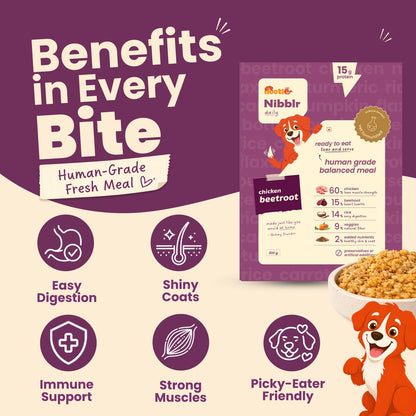 Nibblr Daily Power Feast for Dogs (300g) | Chicken Liver, Beatroot and Rice - nootie.in