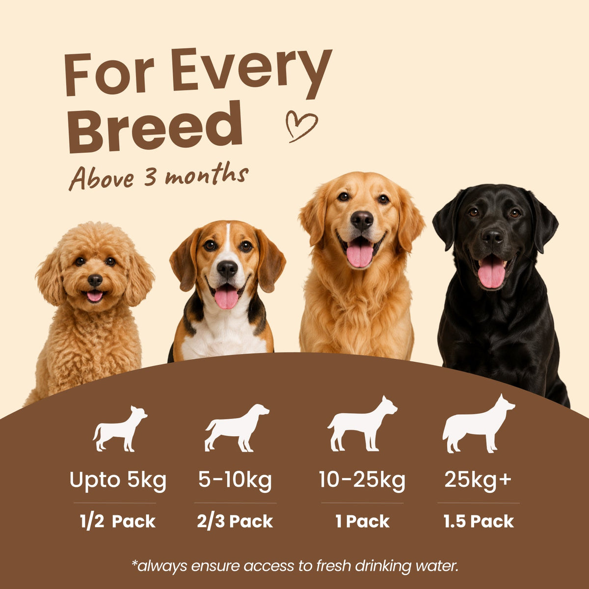 Nibblr Daily Power Feast for Dogs (300g) | Chicken, Sweet Potato & Rice - nootie.in