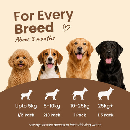 Nibblr Daily Power Feast for Dogs (300g) | Chicken, Sweet Potato & Rice - nootie.in