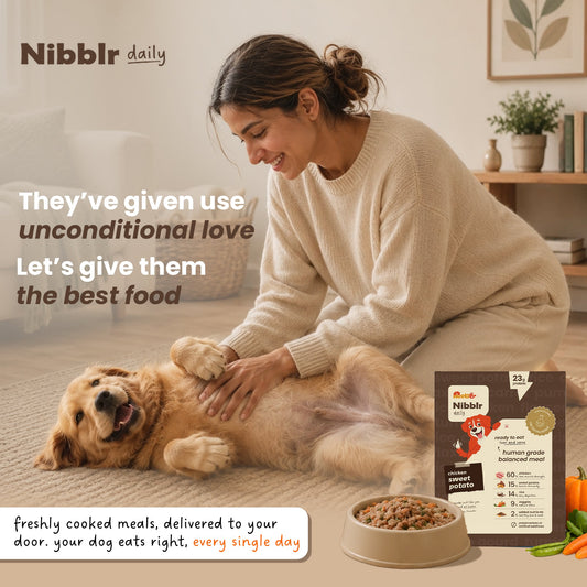 Nibblr Daily Power Feast for Dogs (300g) | Chicken, Sweet Potato & Rice - nootie.in