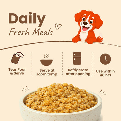 Nibblr Daily Power Feast for Dogs (300g) | Chicken, Sweet Potato & Rice - nootie.in