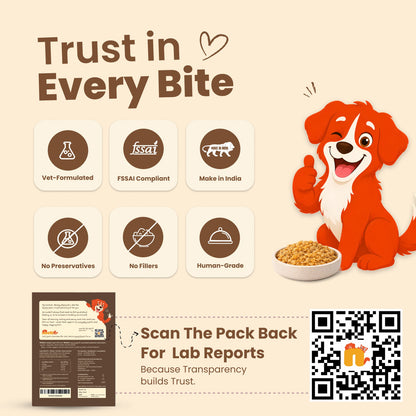 Nibblr Daily Power Feast for Dogs (300g) | Chicken, Sweet Potato & Rice - nootie.in