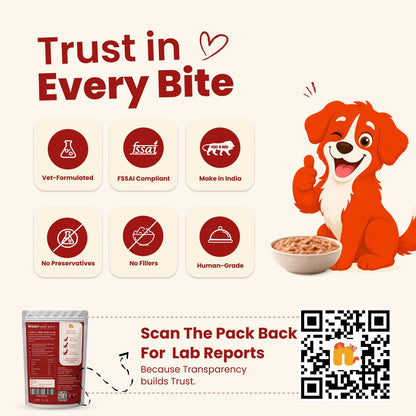 Nibblr Gravies - Meal Toppers for Dogs (Wet Food) - nootie.in