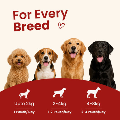 Nibblr Gravies - Meal Toppers for Dogs (Wet Food) - nootie.in