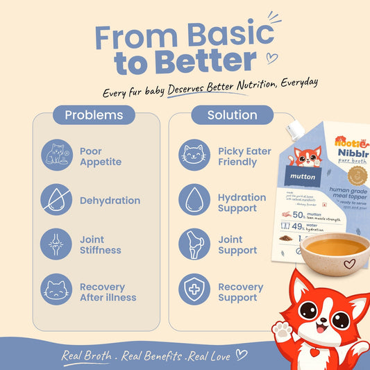 Nibblr Purr Broth - Hydrating Meal Topper for Cats (100 ml) | Mutton Bone Broth - nootie.in