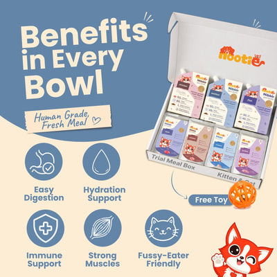 Nibblr Purr Gravies, Broths and a Toy Trial Combo Meal Box for Cats (Assorted Pack of 7) | Human-Grade Hydration & Meal Topper Variety Pack - nootie.in