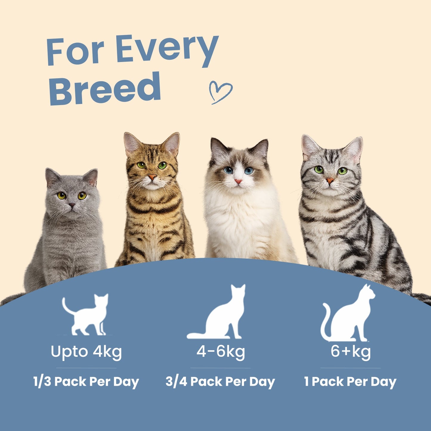 Nibblr Purr Gravies, Broths and a Toy Trial Combo Meal Box for Cats (Assorted Pack of 7) | Human-Grade Hydration & Meal Topper Variety Pack - nootie.in
