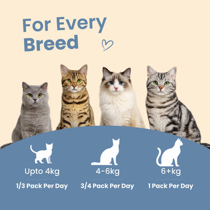Nibblr Purr Gravies, Broths and a Toy Trial Combo Meal Box for Cats (Assorted Pack of 7) | Human-Grade Hydration & Meal Topper Variety Pack - nootie.in