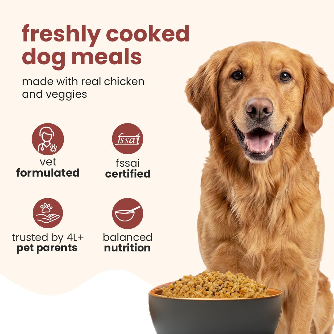 Nibblr Special Chicken Pulao Dogs Meal (300 g) - Fresh Wholesome Dog Meal - nootie.in