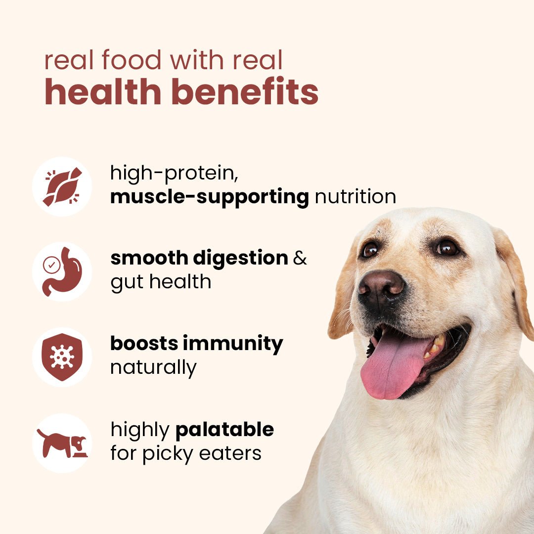 Nibblr Special Chicken Pulao Dogs Meal (300 g) - Fresh Wholesome Dog Meal - nootie.in