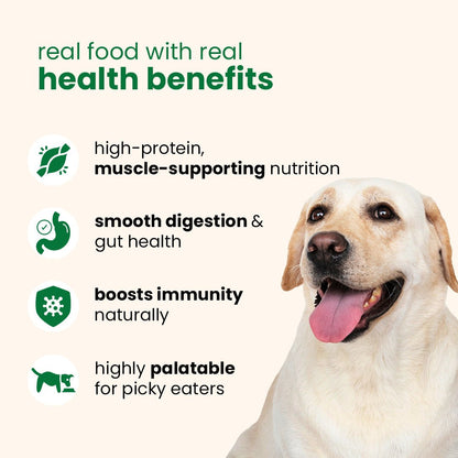 Nibblr Special Veg Pulao (300g) - Fresh Wholesome Dog Meal - nootie.in