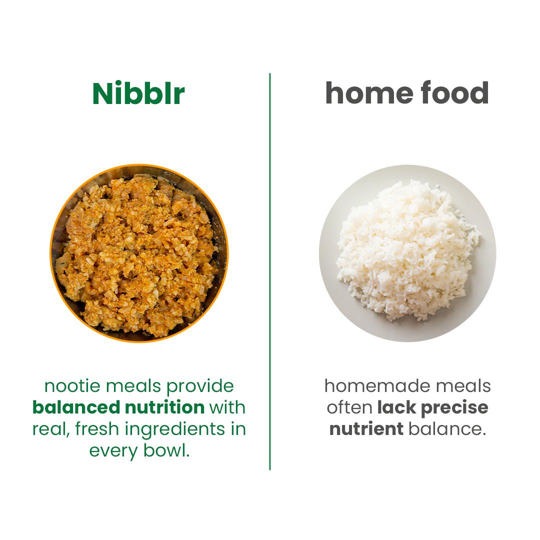 Nibblr Special Veg Pulao (300g) - Fresh Wholesome Dog Meal - nootie.in