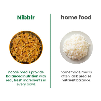 Nibblr Veg Pulao (100g) - 100% Veg Fresh Wholesome Dog Meal - nootie.in
