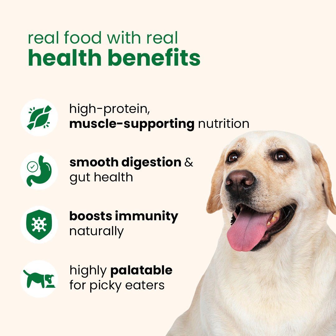 Nibblr Veg Pulao (100g) - 100% Veg Fresh Wholesome Dog Meal - nootie.in