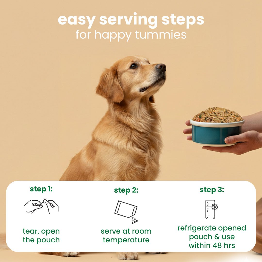 Nibblr Veg Pulao (100g) - 100% Veg Fresh Wholesome Dog Meal - nootie.in
