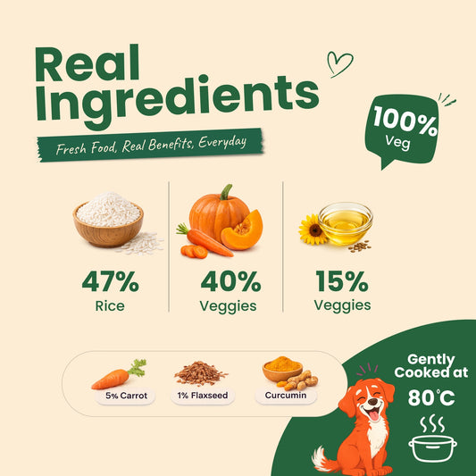 Nibblr Veg Pulao (300g) - 100% Veg Fresh Wholesome Dog Meal - nootie.in